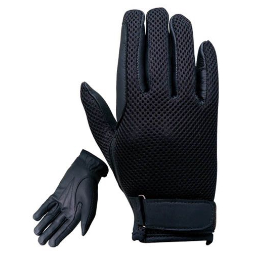 Text